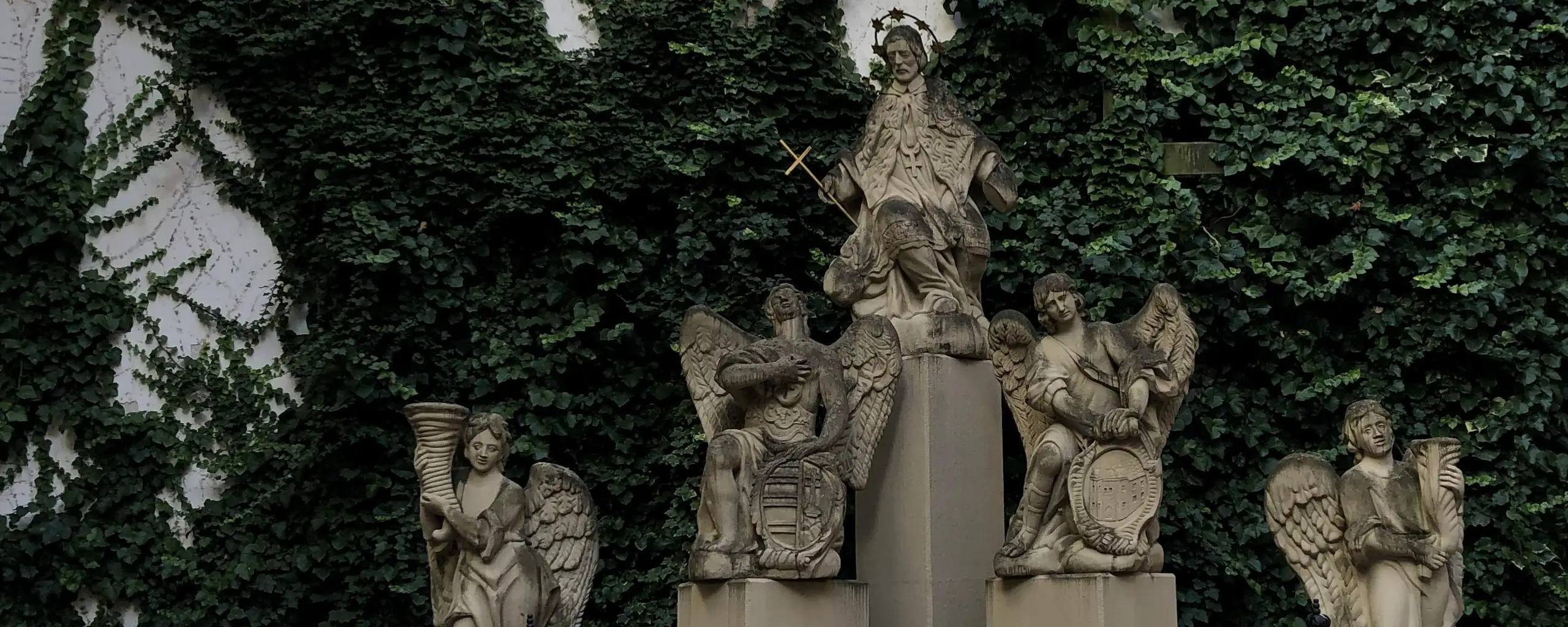 Tło profilu