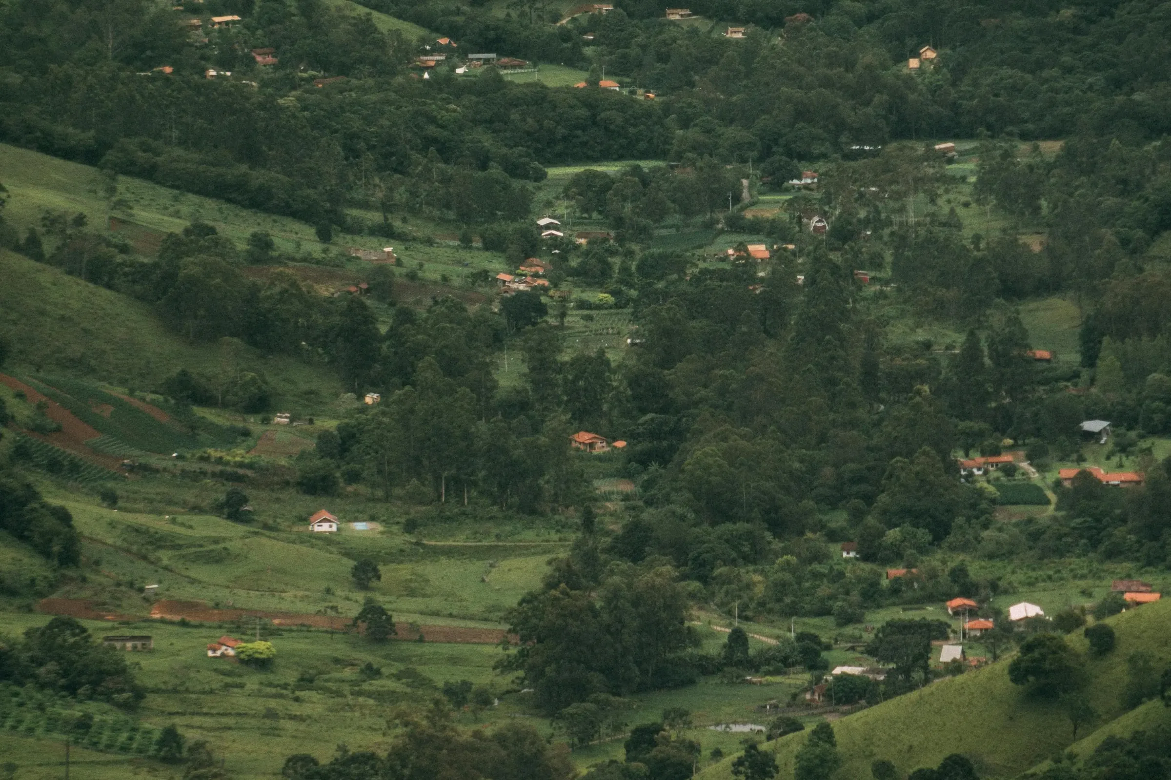 Kierowca ciagnika rolniczego / zamiatacz (k/m)